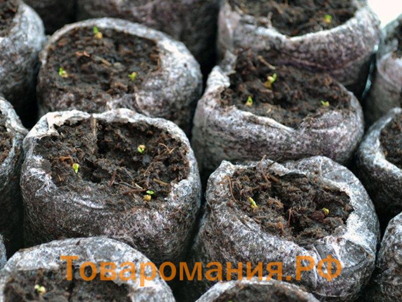 Проращивание семян в торфяных таблетках