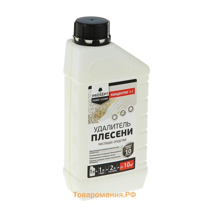 Удалитель плесени Prosept Fungi Clean, концентрат, 1 л