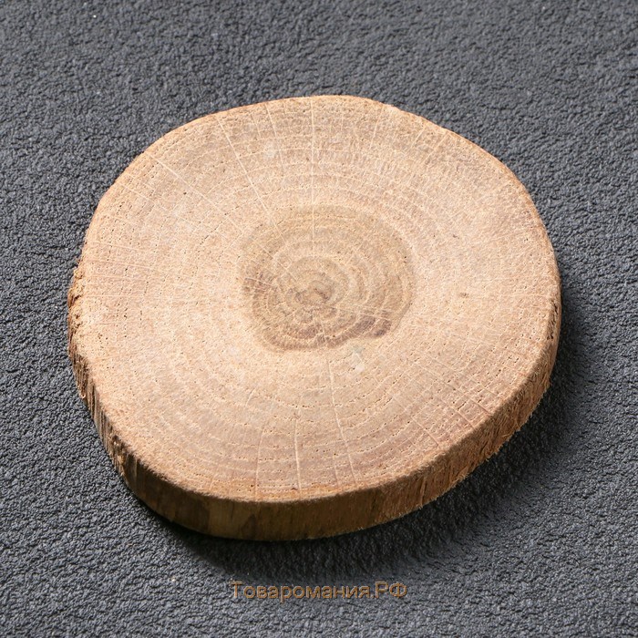 Спил дерева "Дубовый премиум", круглый, d=5-7 см, h=10 мм