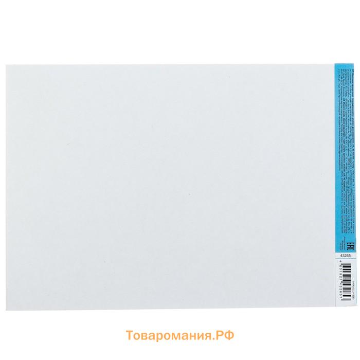 Альбом для рисования А4, 40 листов, блок 120 г/м², на клею, Erich Krause "Морская прогулка", 100% белизна, твердая подложка