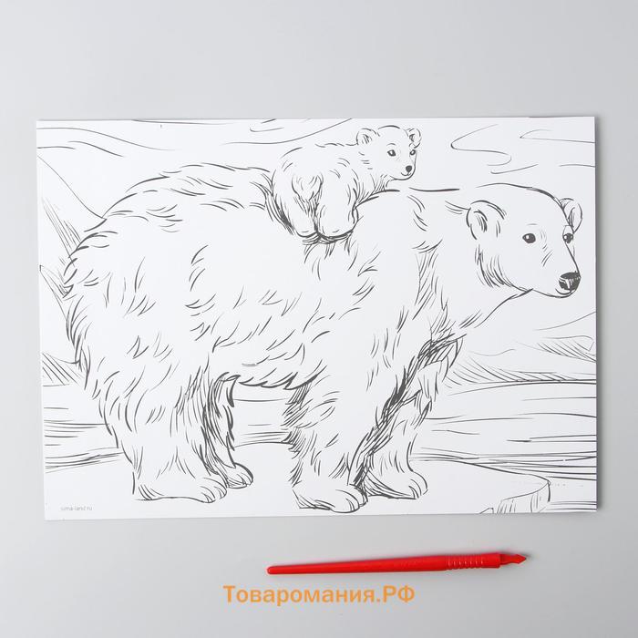 Гравюра «Медведица и медвежонок» A4, с металлическим эффектом «серебро»