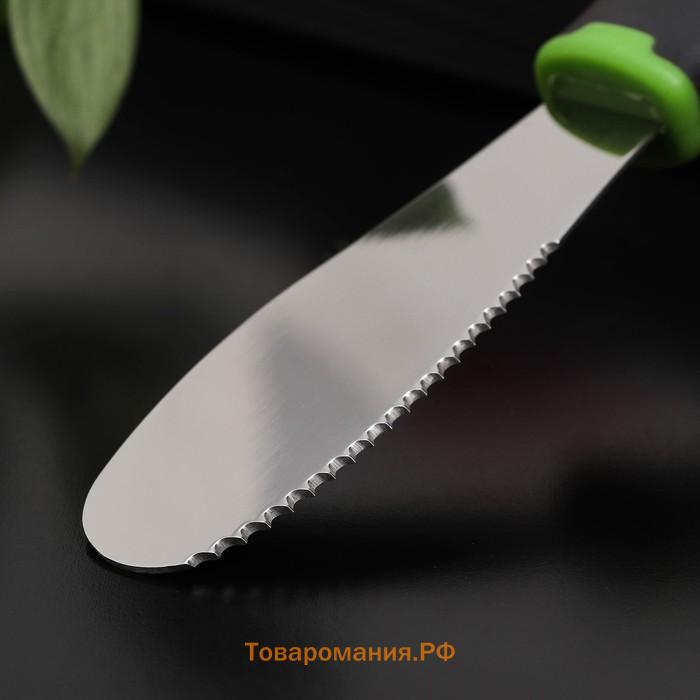 Нож для масла Lime, 20×3 см, цвет чёрно-зелёный