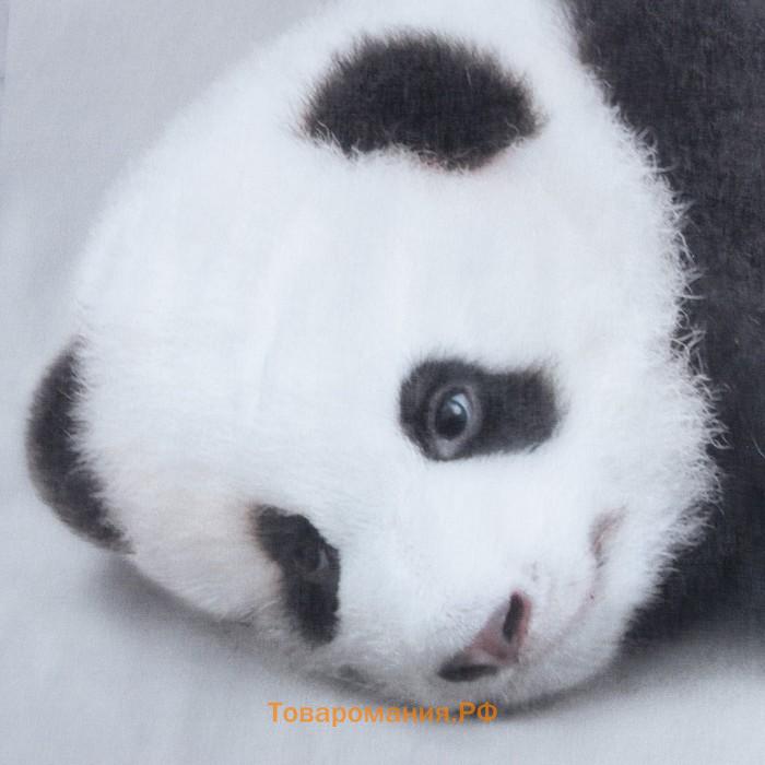 Постельное бельё «» Funny panda, 1.5 сп., 143х215 см., 150х214 см., 50х70 см. - 1 шт., 100% хлопок, бязь