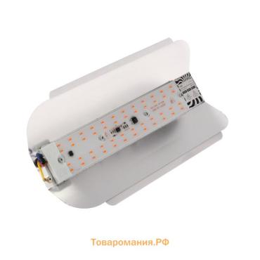 Фитопрожектор для растений Lighting СДО09-50, светодиодный, 50 Вт, IP65, 220 В, бескорпусный, мультиспектральный