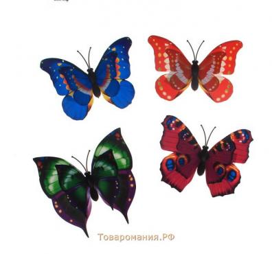 Магнит пластик "Бабочка с двойными крылышками" МИКС 5х7 см