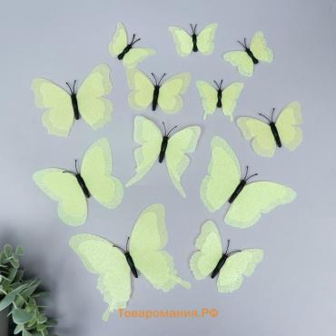 Магнит пластик "Бабочки двойные крылья - блеск" светло-зелёный набор 12 шт